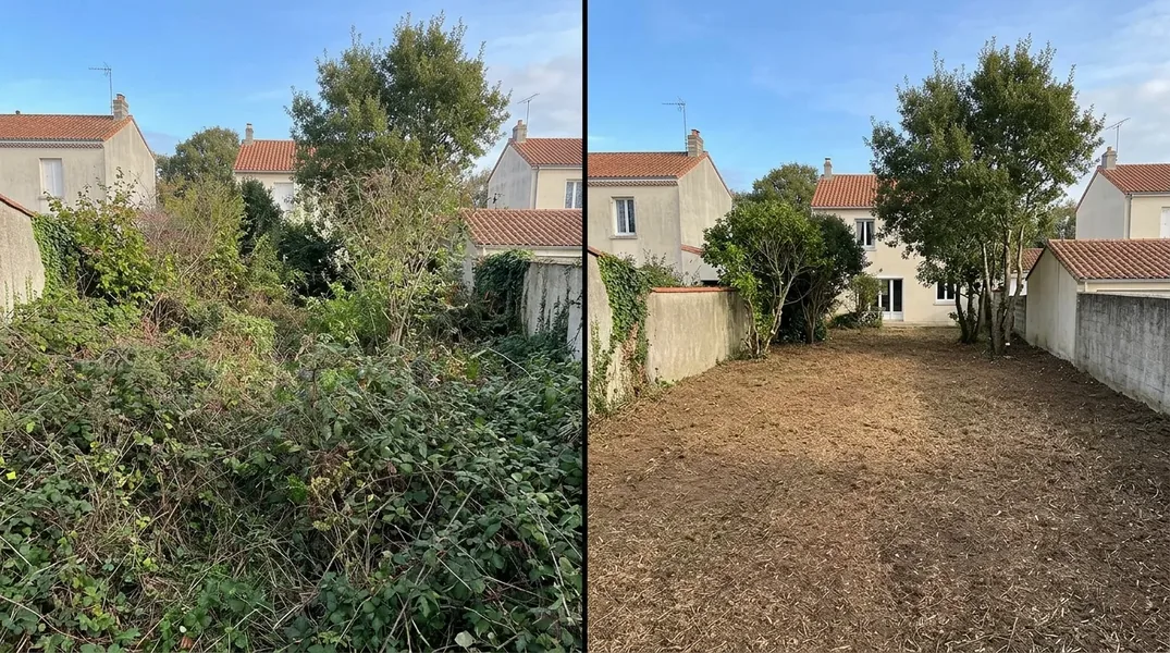 Résultat élagage en Loire-Atlantique — Elagage Nantes